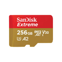 SanDisk Extreme 256 GB MicroSDXC UHS-I Clase 10