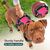 BLUZELLE Dog Harness for Medium Dogs, Reflective Dog Vest Padded Pet Coat, Adjustable Chest Harness with Training Handle & Pocket for GPS Tracker Tag, No Pull Anti Pull Harness,...