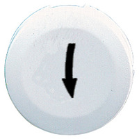 Tastenschild f. Drucktaster o. Leuchtmelder, Pfeil n. unten, weiß, rund