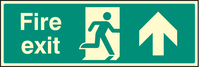 SPARTEX 32007G FIRE EXIT - STRAIGHT ON (300X100MM) PHOTOESCENT RGD