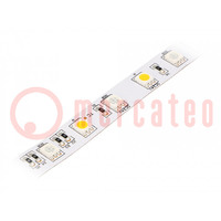 LED strips; RGBW; 5050; 24V; LED/m: 60; 12mm; IP20; 14,7W/m; Thk: 2mm