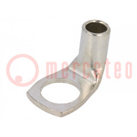 Punta: anillo tubular; M12; 25mm2; crimpados; para conducto; cobre