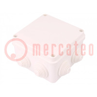 Enclosure: junction box; X: 110mm; Y: 110mm; Z: 67mm; wall mount