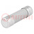 Fuse: fuse; 100A; 500VAC; ceramic,cylindrical,industrial; 22x58mm
