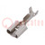 Terminal: flat; 6.3mm; 0.8mm; female; 0.5÷1.5mm2; crimped; straight