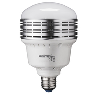Walimex 20720 LED-Lampe 5500 K 25 W E27