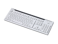 Fujitsu KB500, ES keyboard USB Grey