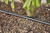 Gardena 13500-20 système d'irrigation goutte-à-goutte