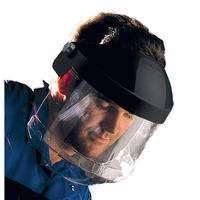 Centurion 160 x 1mm Clear Polycarbonate Classic Chin Guard Face Screen