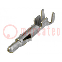 Contact; male; brass; tinned; 0.5÷2mm2; 20AWG÷14AWG; bulk; crimped