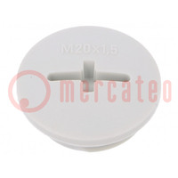 Stopper; M20; 1.5; IP68; polyamide; light grey; SKINDICHT®; 6mm