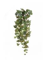 Artificial Real Touch Trailing Ivy - 70cm, Two Tone Green