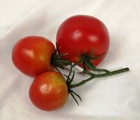 Artificial Tomatoes On The Vine - , Red