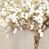 Artificial Bespoke Natural Cherry Tree - 200cm, White