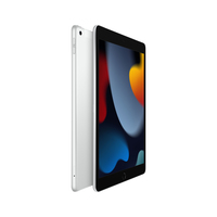 Apple iPad 4G LTE 256 GB 25,9 cm (10.2") Wi-Fi 5 (802.11ac) iPadOS 15 Zilver
