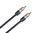 DCU Advance Tecnologic 30751020 cable de audio 1 m TOSLINK Negro