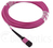 BlueOptics CBL-MPO12-OM4-1M Glasfaserkabel MPO Pink