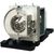 Projector Lamp for Optoma 1500 hours, 330 Watts fit for Optoma Projector EH319UST, EH320UST, W320UST, X320UST Lampen