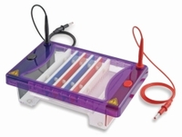 Elektrophoresekammern MultiSUB Choice | Beschreibung: MultiSUB Choice Trio