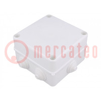 Enclosure: junction box; X: 133mm; Y: 133mm; Z: 83mm; IP55; white