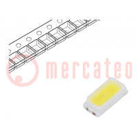 LED; SMD; 3014,PLCC2; bianco freddo; 10÷15lm; 5300-6120K; 80; 120°