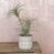 Artificial Airplant in Patterned Pot - 33cm, Green