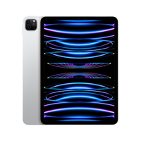 Apple iPad Pro Apple M 512 GB 27,9 cm (11") 8 GB Wi-Fi 6E (802.11ax) iPadOS 16 Zilver