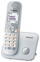 Panasonic KX-TG6811GS Telefon DECT-Telefon Anrufer-Identifikation Silber