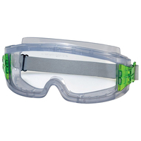 Uvex 9301424 Schutzbrille/Sicherheitsbrille Grau