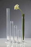 Vase "Solifleur" Ø3cm Glas H: 25cm