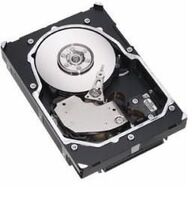 ThinkServer 2.5" 500GB **Refurbished** Internal Hard Drives