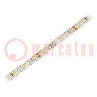LED tape; white warm; 3528; 12V; LED/m: 96; 10mm; white PCB; 120°