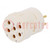 Connector: M23; contact insert; PIN: 6; female; THT; 300V; 20A