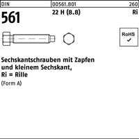 Sechskantschraube DIN 561 Zapfen AM 8x 3