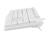 NATEC NKL-1949 teclado USB QWERTY Español Blanco