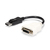 StarTech.com DisplayPort auf DVI Adapter - DisplayPort zu DVI-D-Adapter / Videokonverter - 1080p - DP 1.2 auf DVI-Monitor / Displaykabel-Adapter Dongle - DP zu DVI-Adapter - Ver...