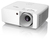 Optoma ZW340e beamer/projector Projector met normale projectieafstand 3600 ANSI lumens DLP WXGA (1280x800) 3D Wit