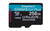 Kingston Technology 256GB microSDXC Canvas Go Plus 170R A2 U3 V30 enkel pakket zonder ADP
