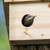 Relaxdays Nistkasten für Stare, natürliches Tannenholz, 2x Einflugloch 5 cm, Sitzstange, Vogelhaus zum Aufhängen, natur