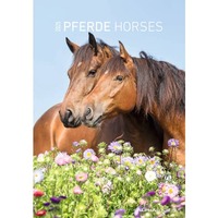 Bildkalender Pferde, 23,7 x 34 cm ALPHA 104102