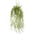 Rhipsalis hangplant