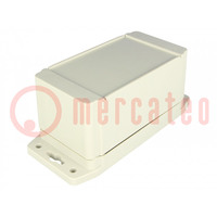 Custodia: universale; X: 66mm; Y: 120mm; Z: 62mm; con fissaggio; ABS