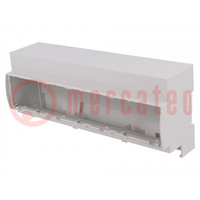 Enclosure: for DIN rail mounting; Y: 91mm; X: 213mm; Z: 62mm; grey