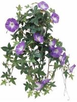 Artificial Silk Trailing Morning Glory - 50cm, Purple