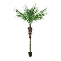 Artificial Pheonix Potted Palm Tree - 180cm, Green