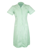 Eau De Nil Striped Stepin Dress - 08