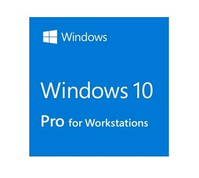 Microsoft Windows 10 Pro for Workstations 1 license(s)