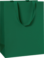 STEWO Geschenktasche One Colour 2544782696 grün dunkel 23x13x30 cm