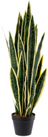 Sansevieriapflanze Kiran; 86 cm (H); grün/schwarz