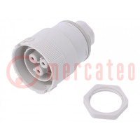 Connector: AC supply; push-in; female; 0.5÷2.5mm2; 16A; 250V